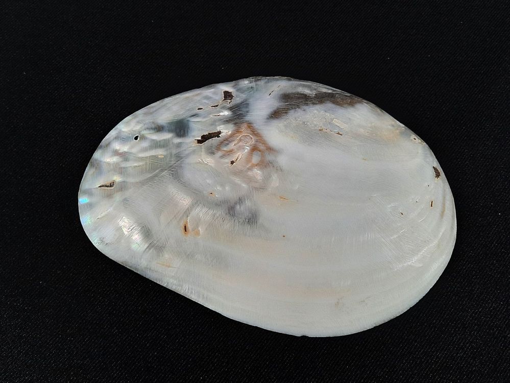 Expo International Naturholz-Perlen Oval – Taupe, 5x8/8x12 Mm, 26 Stück, Für Schmuck & Bastelprojekte