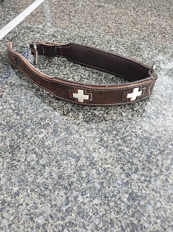 Guinzagli & Collari: Hunde echt Leder Halsband – Usato da Rickenbach LU venduto da trucker.s