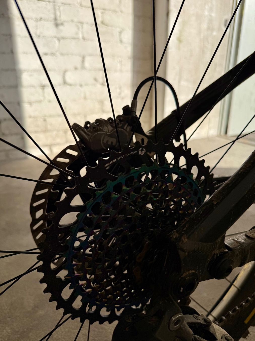 Bixs Biciclette: BIXS LANE EX – Usato da Bern venduto da STEFANDM 5