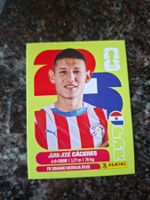 Panini WM 2026 Sticker: Juan José Caceres, PAR 6