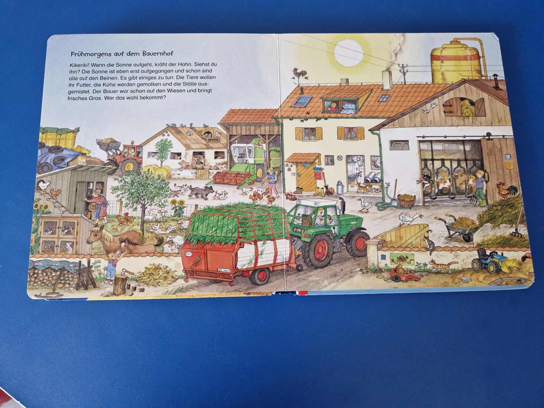 Libri: Bagger, Traktor, Müllabfuhr, Bilderbuch ab 2 Jahre – Usato da Münchenbuchsee venduto da Aare22 7