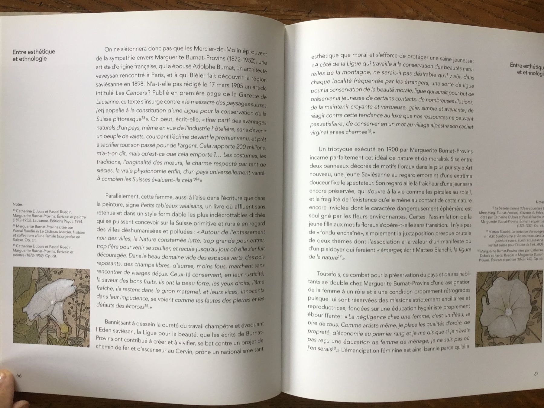 Libri: Les peintres en Valais – Usato da Fully venduto da Ruby97 6