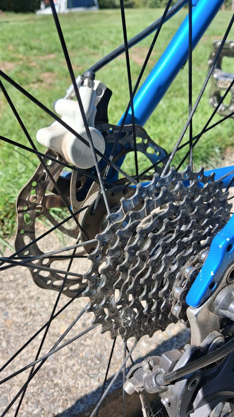 Bixs Biciclette: Mountainbike BIXS, blau – Usato da Rorbas venduto da siramad 9