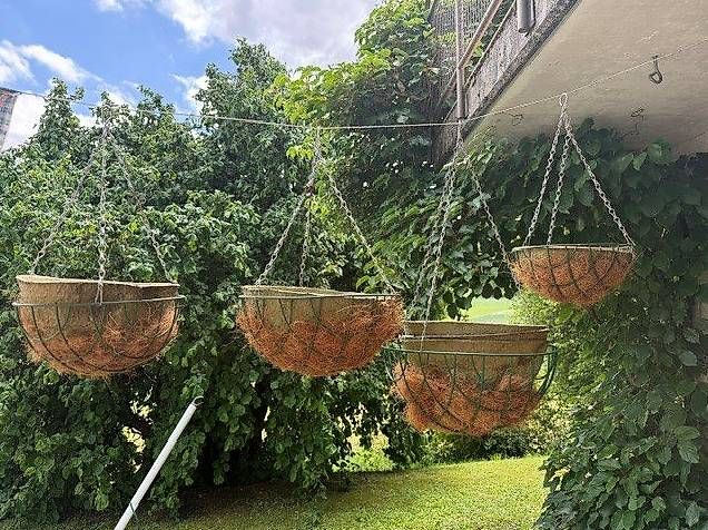 Vasi per fiori: Pflanzhängekörbe – Usato da Dussnang venduto da turbi55