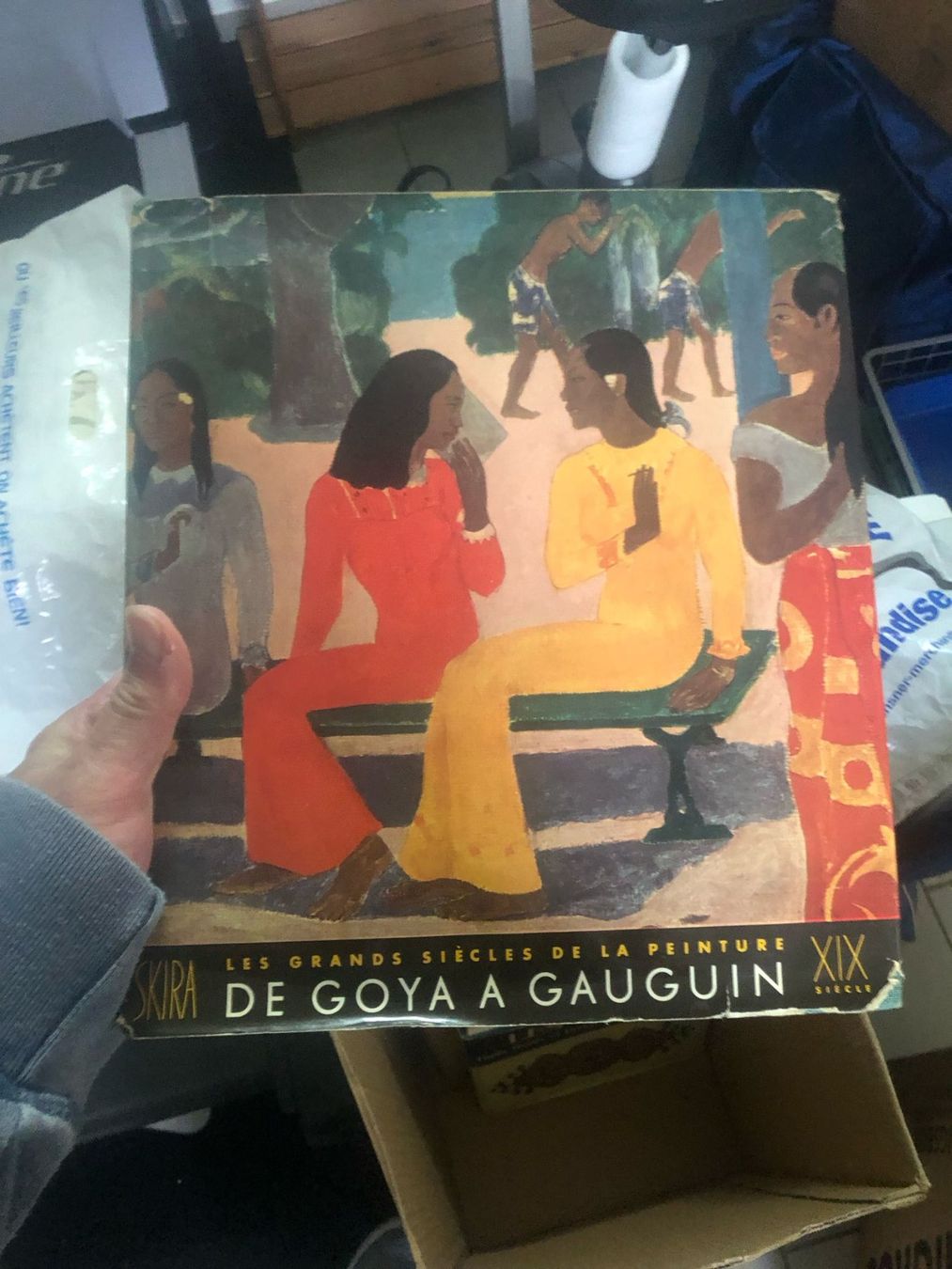 Libri: De Goya a Gauguin – Usato da Camorino venduto da Vasal