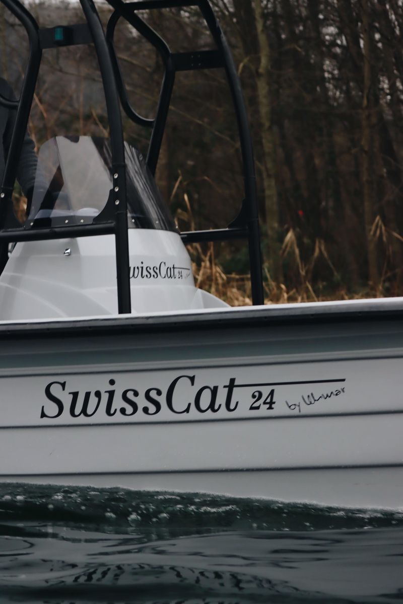 Barche: Swiss Cat 24 mit Suzuki DF300 – Nuovo (secondo la descrizione) da Solothurn venduto da Eduka72 2