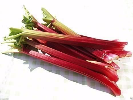 Piante & sementi: RHUBARBE VICTORIA 10g – Nuovo (secondo la descrizione) da Bremblens venduto da FIBONACCI369 2