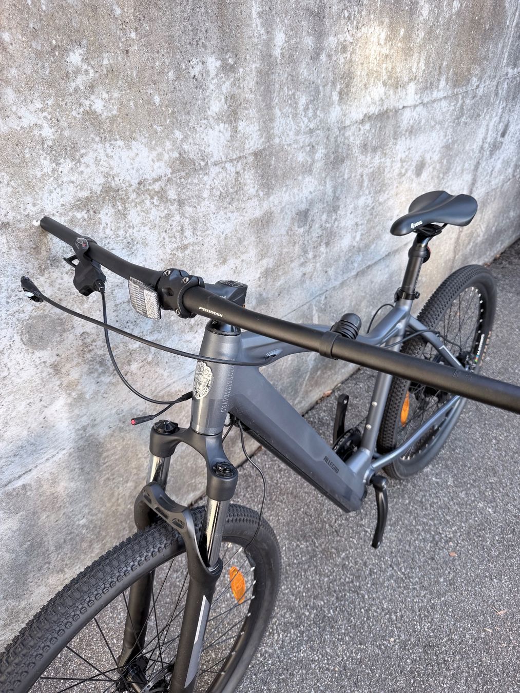 Biciclette: Allegro E-Bike ab 1Fr – Difettoso da Solothurn venduto da lea_5lxz 2