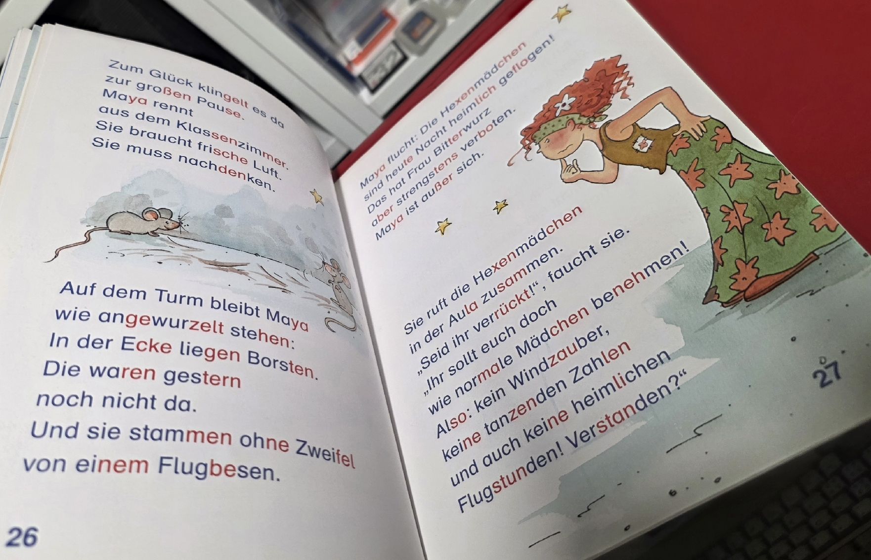 Libri: Leserabe - Das Hexeninternat (Kinder BUCH) – Usato da Reinach BL venduto da _MasterK_ 1