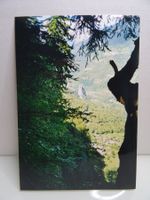 Alpenpanorama Foto Tessin Biaschina Viadukt Bergwelt