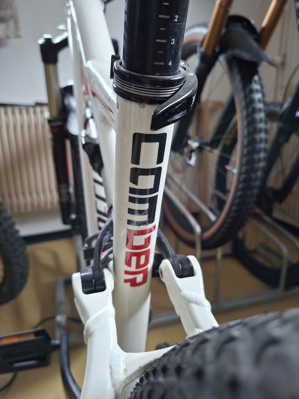Specialized Biciclette: Specialized camber – Usato da Flums venduto da NaWi79 6