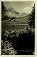 Partie beim Schwendesee