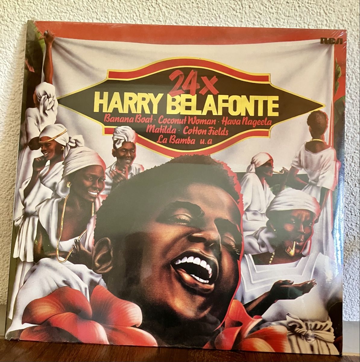 Dischi in vinile: 24x Harry Belafonte LP Doppelalbum – Nuovo e nell'imballaggio originale da Hergiswil NW venduto da Stritzi74