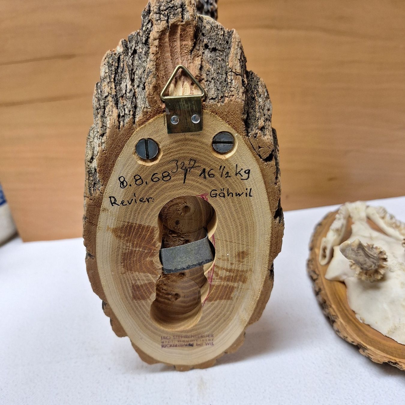 Tutte le decorazioni: 2 alte Geweihe, mit Aufhängevorrichtung – Usato da Winterthur venduto da Goldpipau 6
