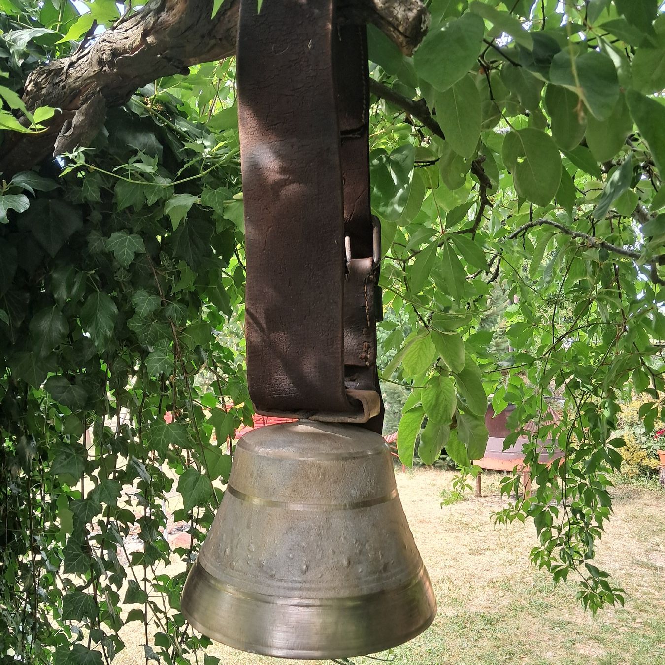 Glocken & Treicheln: GUTE ALTE VIGLINO FREIBURG  – Gebraucht aus Murten von SHETHOF 3