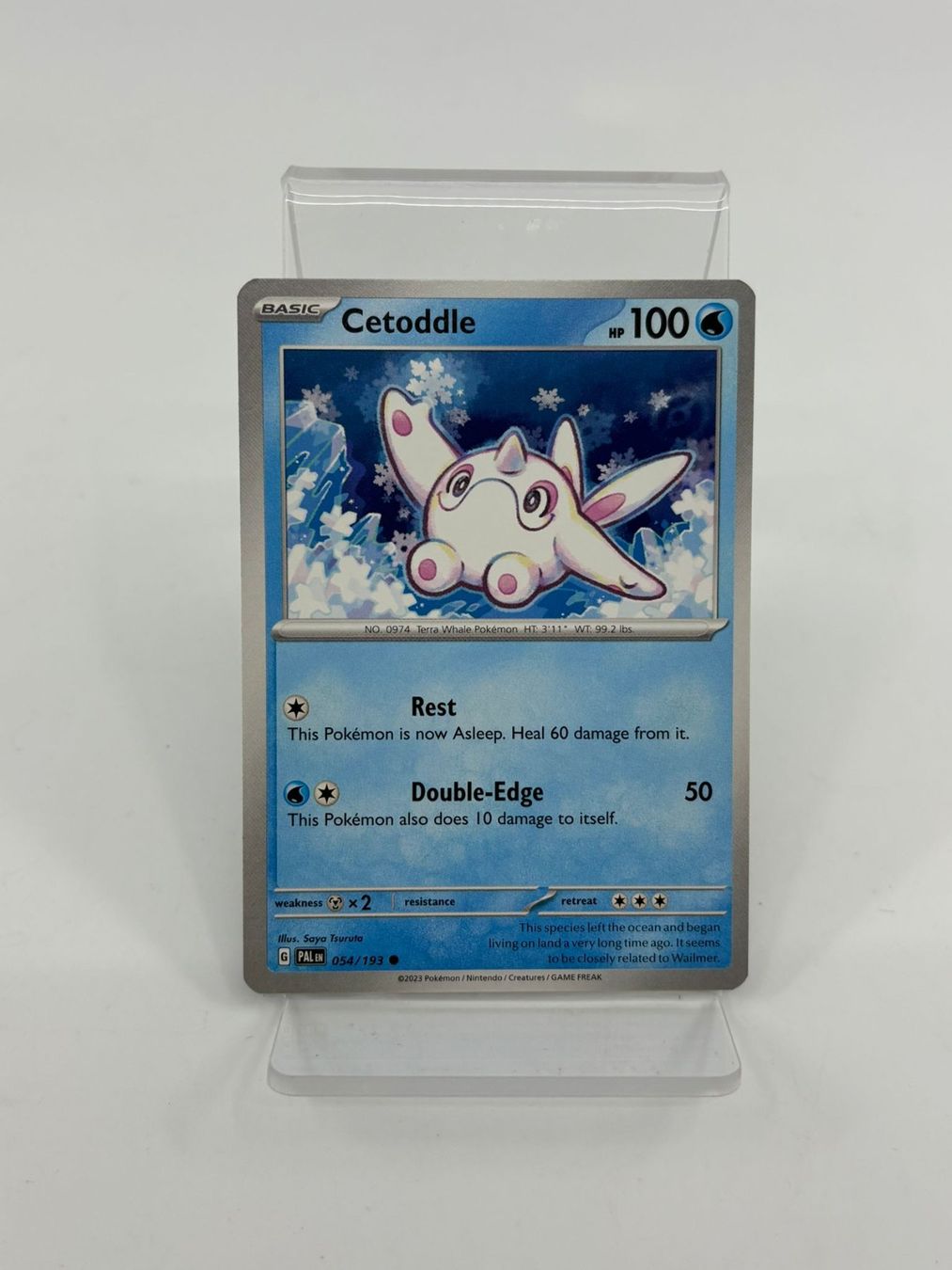 Pokémon Carte collezionabili: Pokemon Cetoddle 054/193 – Usato da Herisau venduto da Pokemon2026