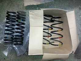 Schraubenfedern Fahrwerk Originale Ford Focus