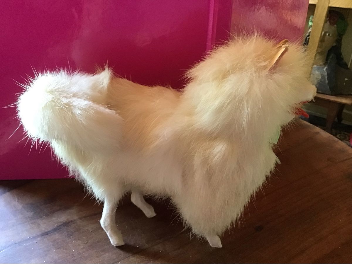 Giocattoli: Alter Echtfell Puppen Hund – Usato da St. Gallen venduto da Goldlilly 7