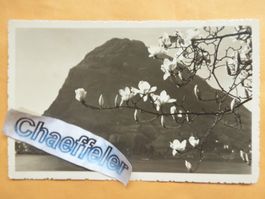 1936  076 Lago di Lugano. Mte. S. Salvatore.