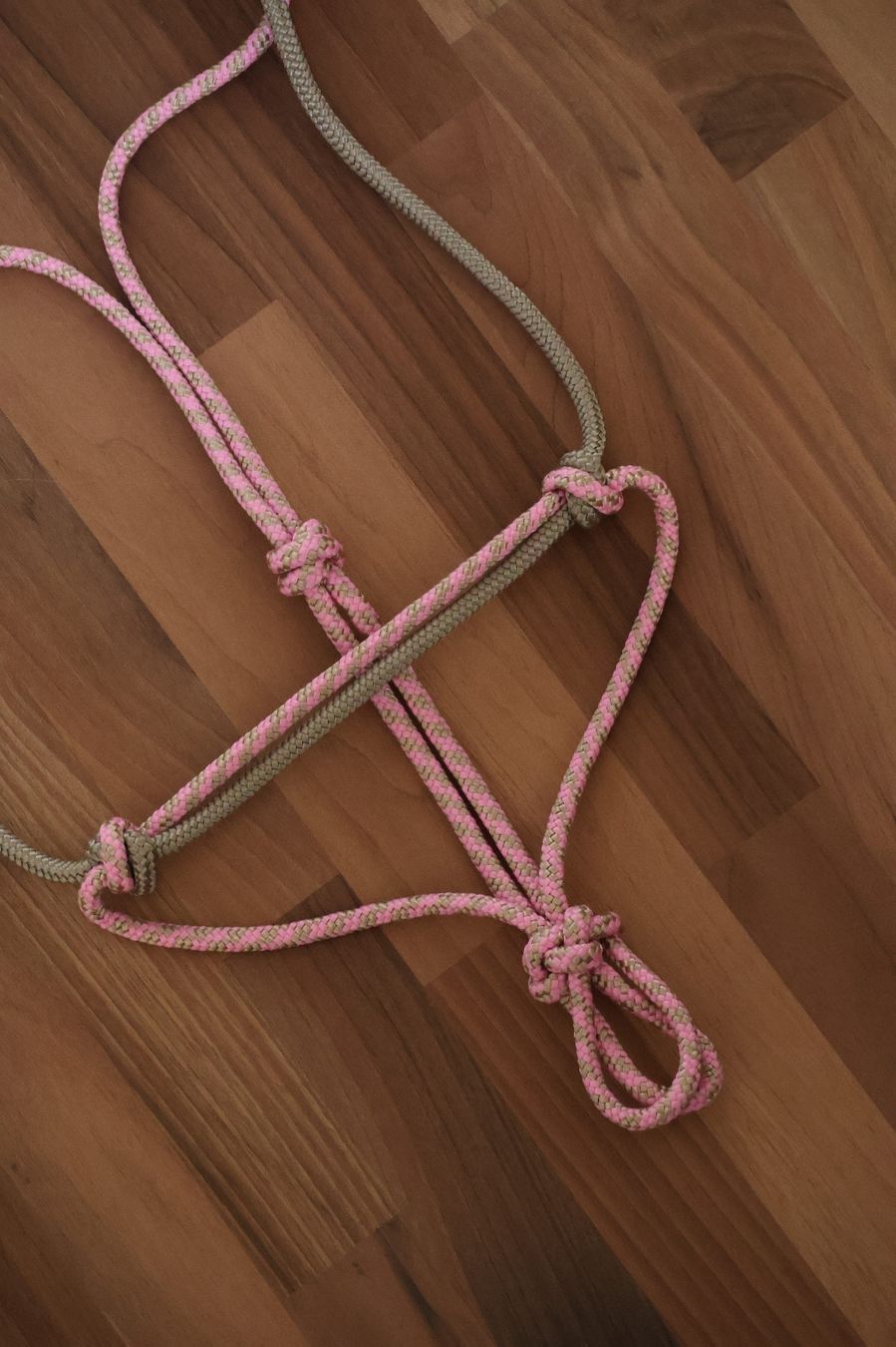 Briglie & Cavezze: Knotenhalfter Pony NEU – Nuovo e nell'imballaggio originale da Meggen venduto da Orrinka20 1