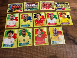 Panini Sticker