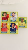 Fussball Panini Sticker Set