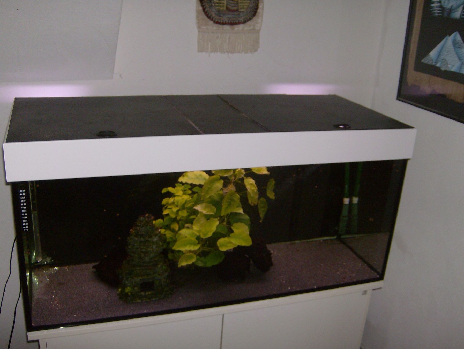 Aquarium: Aquarium Kompl. mit Möbel / Filter / Heizung ab 1.- !!!!!!!! – Gebraucht aus rorschach von fut_bpw5 1