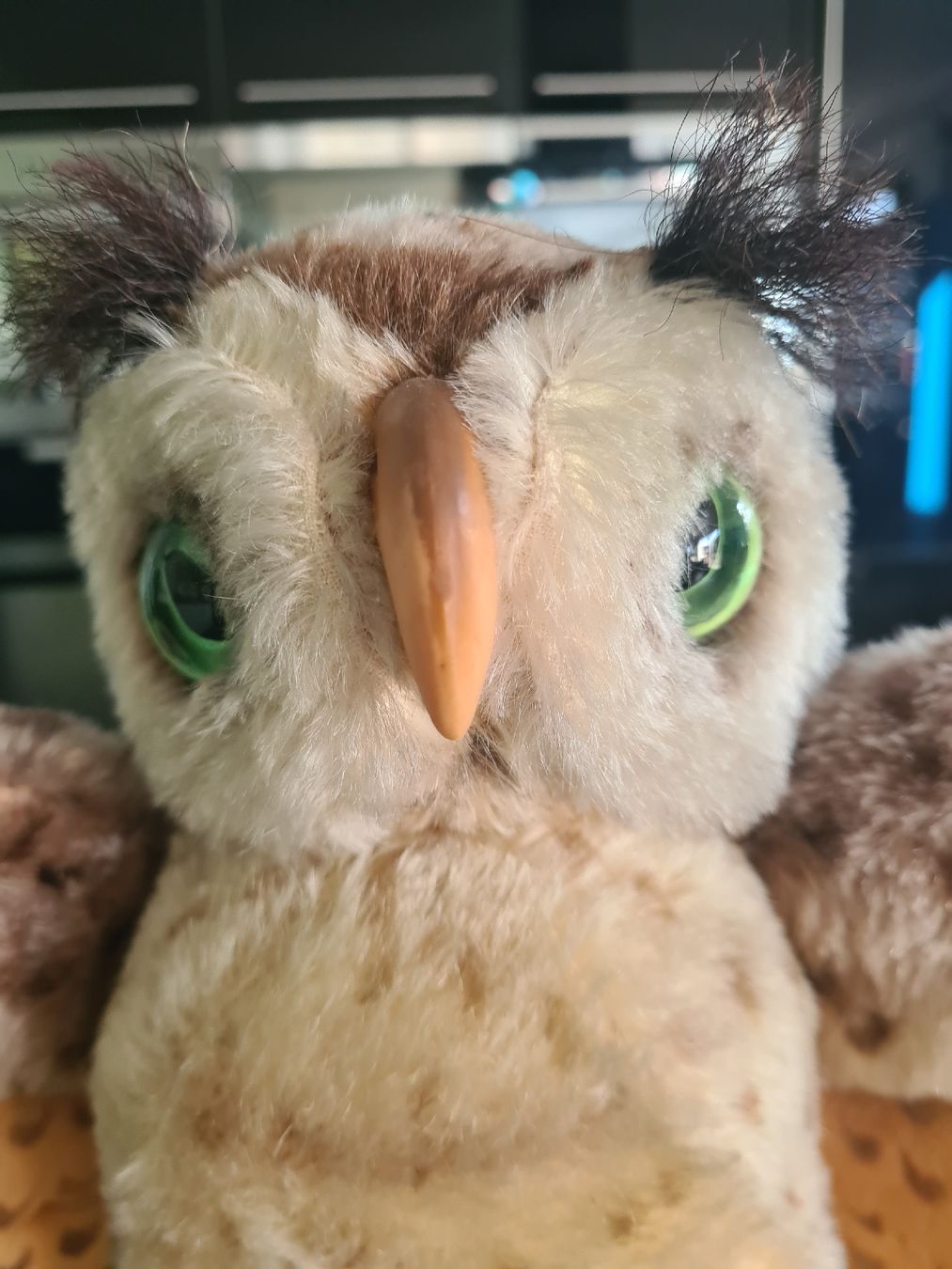 Steiff Giocattoli: Original Vintage Steiff Wittie Eule – Usato da St. Gallen venduto da charly92 1