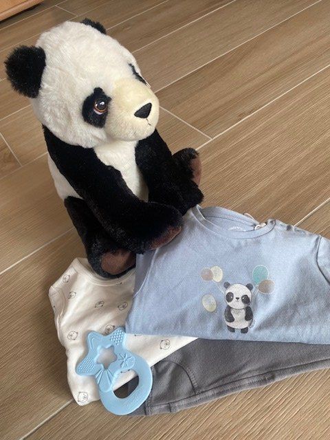 Lotti & Set di vestiti: neues Baby Set Gr. 62 "Panda hellblau" – Nuovo (secondo la descrizione) da Staufen venduto da Nasli 1