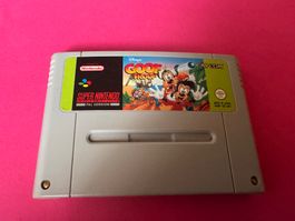 GOOF TROOP SPIEL FÜR SUPERNINTENDO