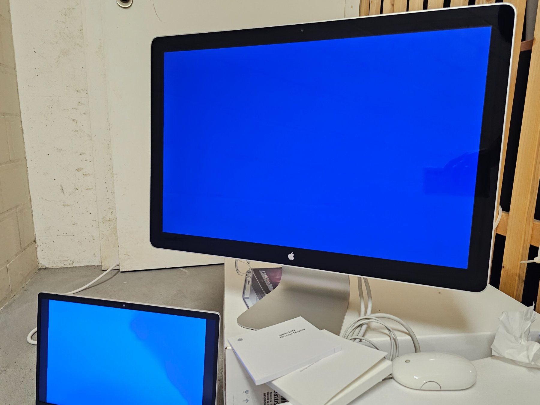 Apple Monitor: Apple Cinema Display + USB-C Adapter + Apple Maus – Nuovo (secondo la descrizione) da Wettingen venduto da dia_hv56 2