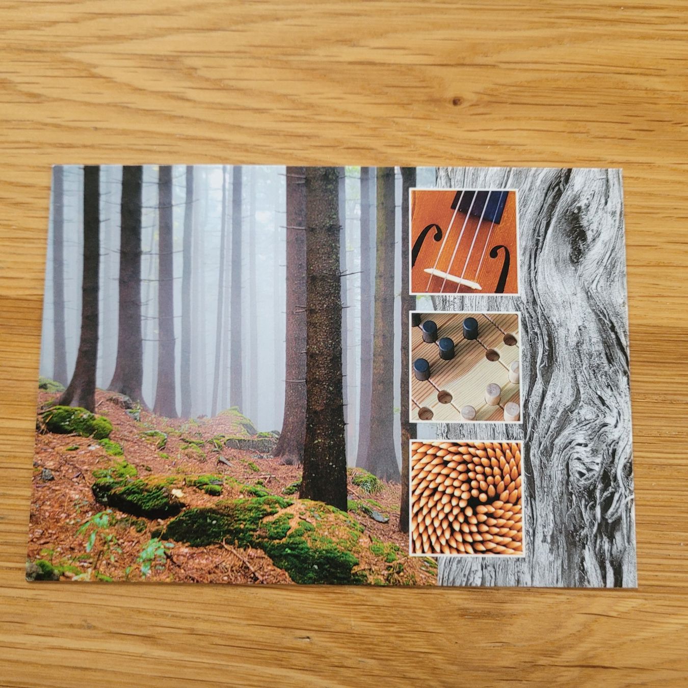 Cartes postales: GS Karte Bern 2004 – D'occasion à Biel/Bienne par Destockweb 1