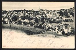Heiden, Ortsansicht von einem Berg aus