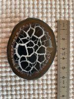 Septarie