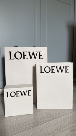 Geschenktüte Loewe