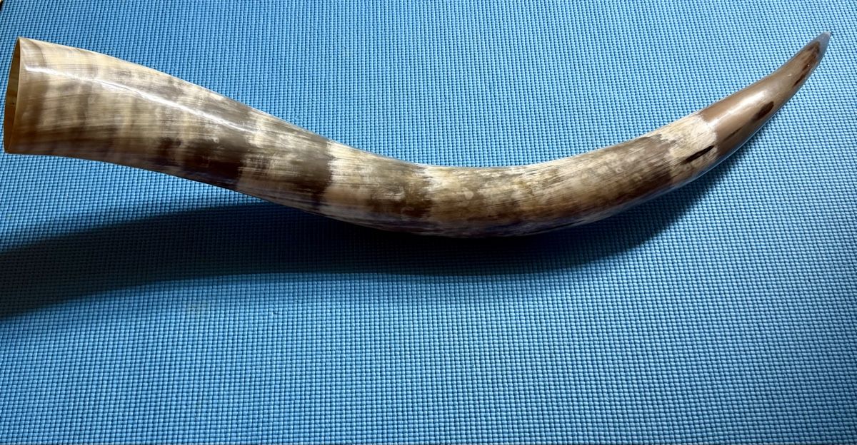 Welt der Tiere: Horn – Neu (gemäss Beschreibung) aus St. Gallenkappel von raf_97dz