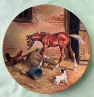 Porzellanteller von Donna Crawshaws