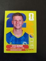 Panini FIFA World Cup 2026 BIH 14
