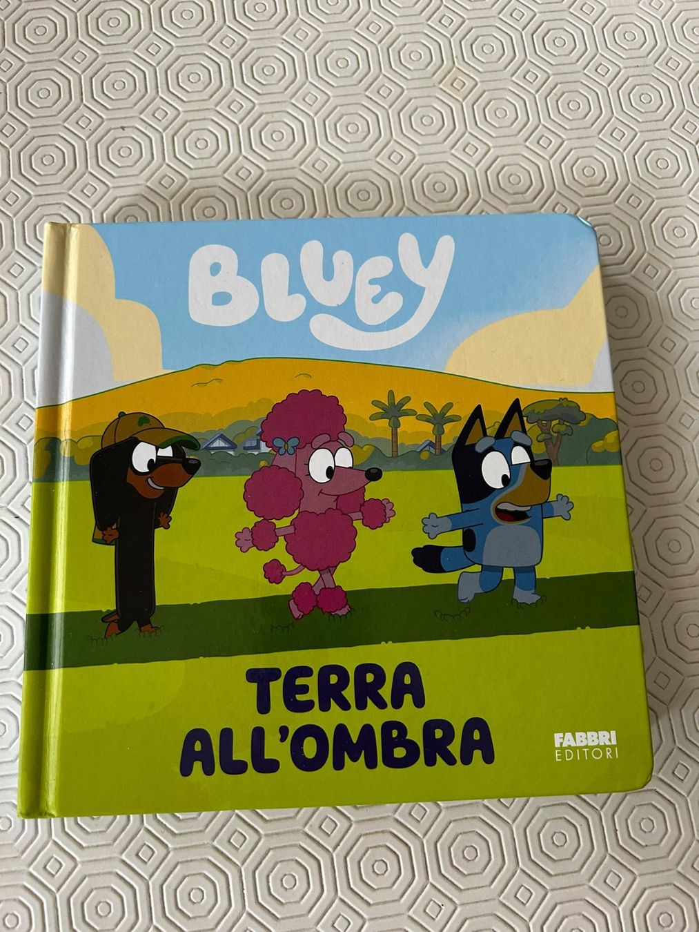 Libri: Libro Bluey "Terra all'ombra" – Usato da Melano venduto da H-Sara