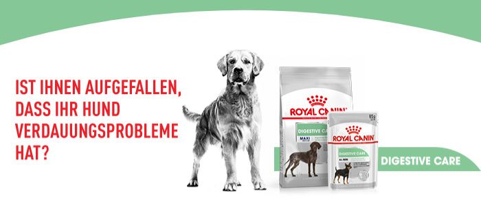 Royal Canin Nourriture: Hundefutter Royal Canin Digestive Care Maxi – Neuf avec emballage d'origine à Winterthur par Toetschli 1