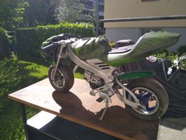 Predator Pocket Bike