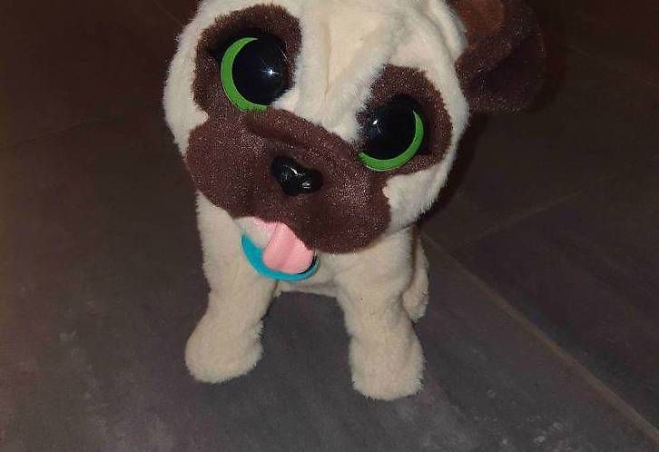 Giocattoli: FurReal Friend chien – Usato da Ste-Croix venduto da tougaz