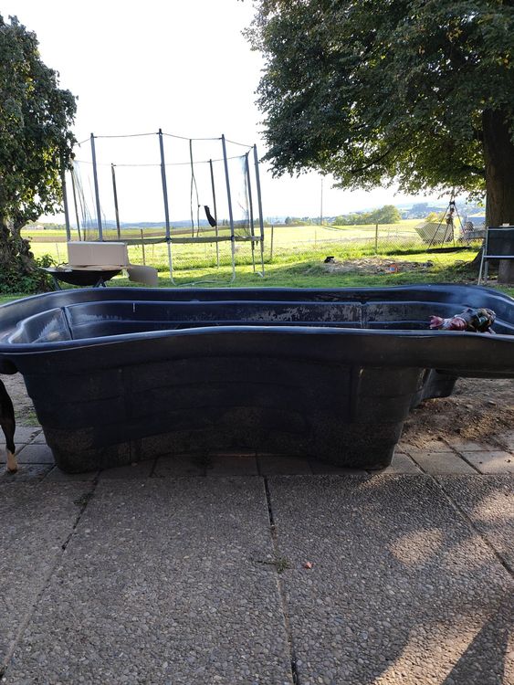 Fischteich Kaufen auf Ricardo