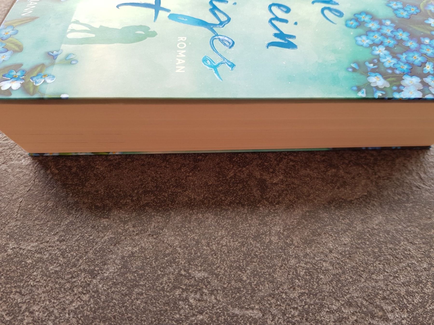 Libri: Ohne ein einziges Wort / Rosie Walsh Roman – Usato da Dietikon venduto da marconi07 2