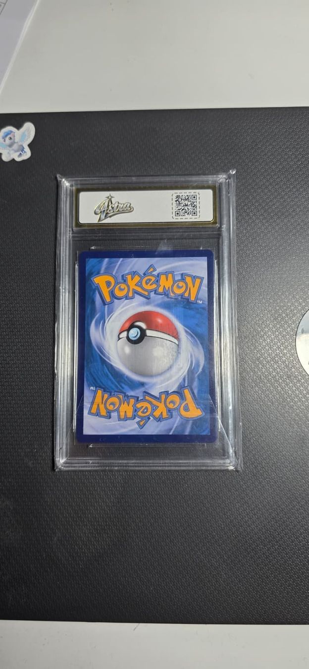 Pokémon Sammelbilder & Trading cards: Pokemon Squawkabilly SAR - Chinese – Gebraucht aus Sierre von NabboNatale 1