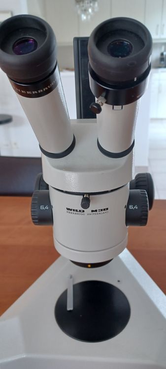 Wild Heerbrugg Stereomikroskop M3B (Gebraucht) in Niederlenz für