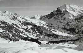 GRINDELWALD Wetterhorn