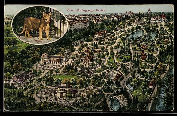 Cartoline postali: Basel, Zoologischer Garten, Totalansicht – Usato da Berlin venduto da bartko-reher