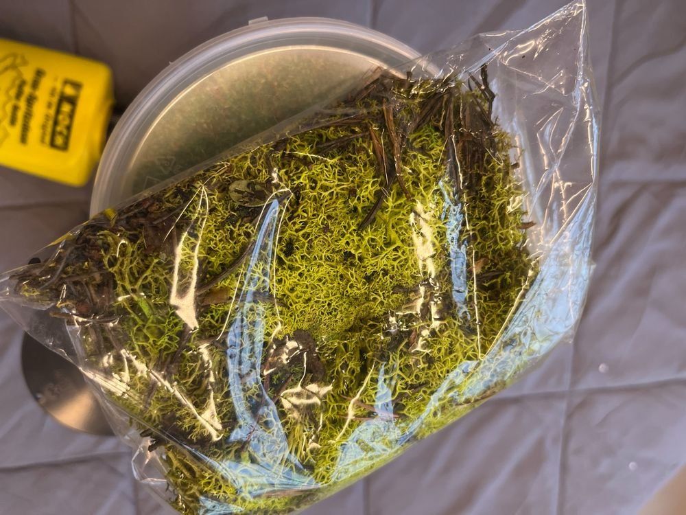 Noch Modelleisenbahnen: NOCH Matériel pour modélisme diorama – Gebraucht aus Bassecourt von maxibog 3