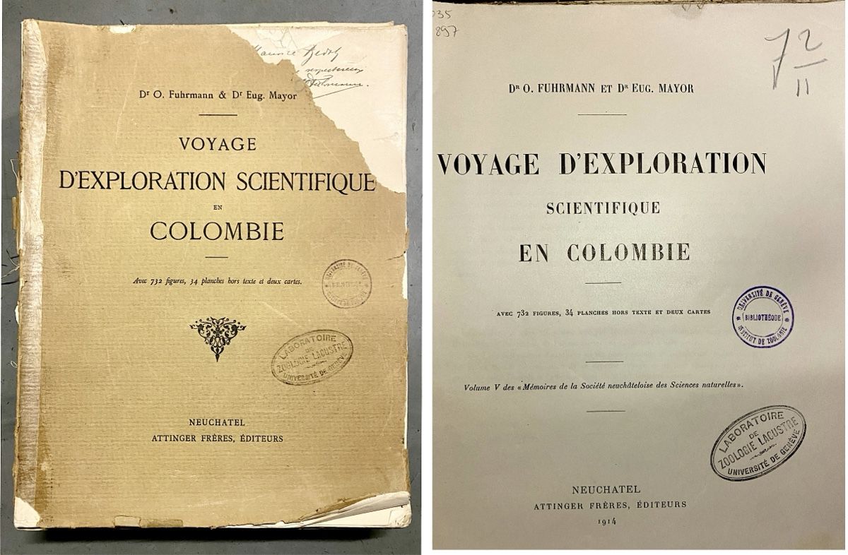 Libri: Explorer Voyage Scientifique Dr Mayor Sces naturelles Expé – Usato da Cointrin venduto da vrossi 1
